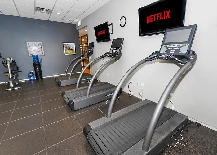Skyline 2br On 20th Floor Near Grant Park With Paid Parking * Chicago
